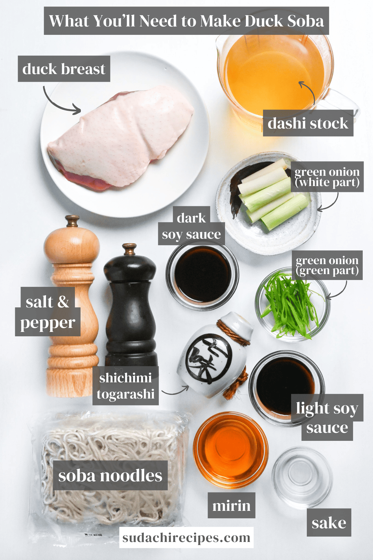 ingredients used to make duck soba (kamo nanban soba) on a white background with labels