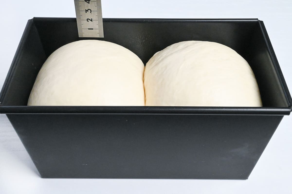 nama shokupan risen to 2cm below the rim of the loaf pan