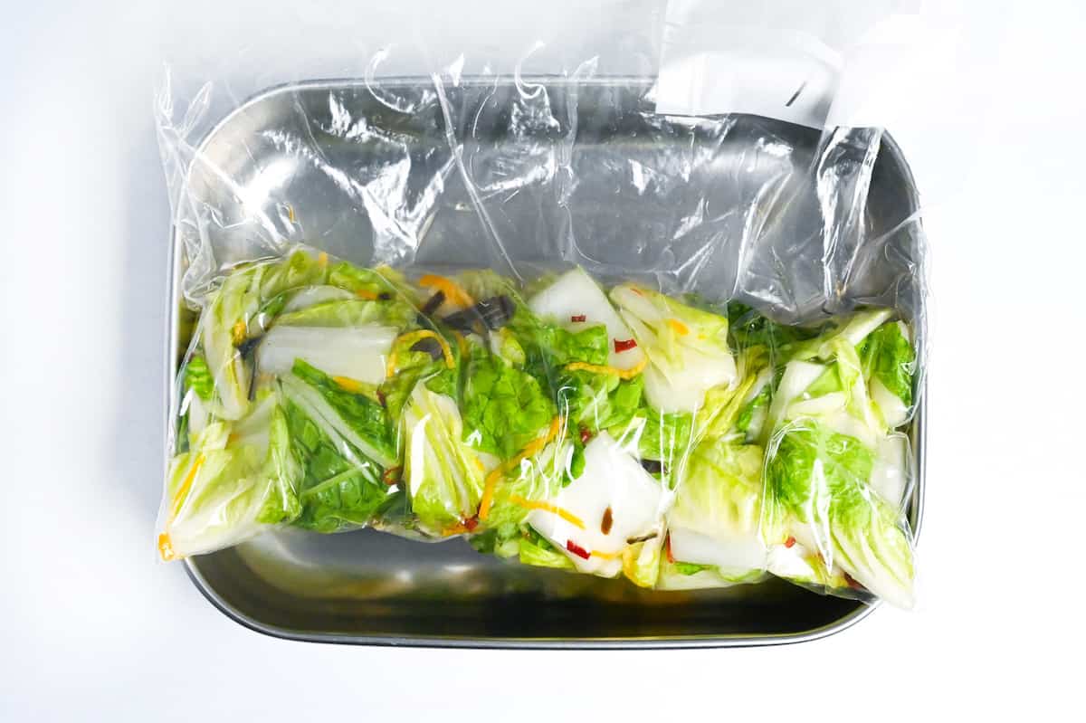 napa cabbage pickles in a sealable freezer bag in a steel tray