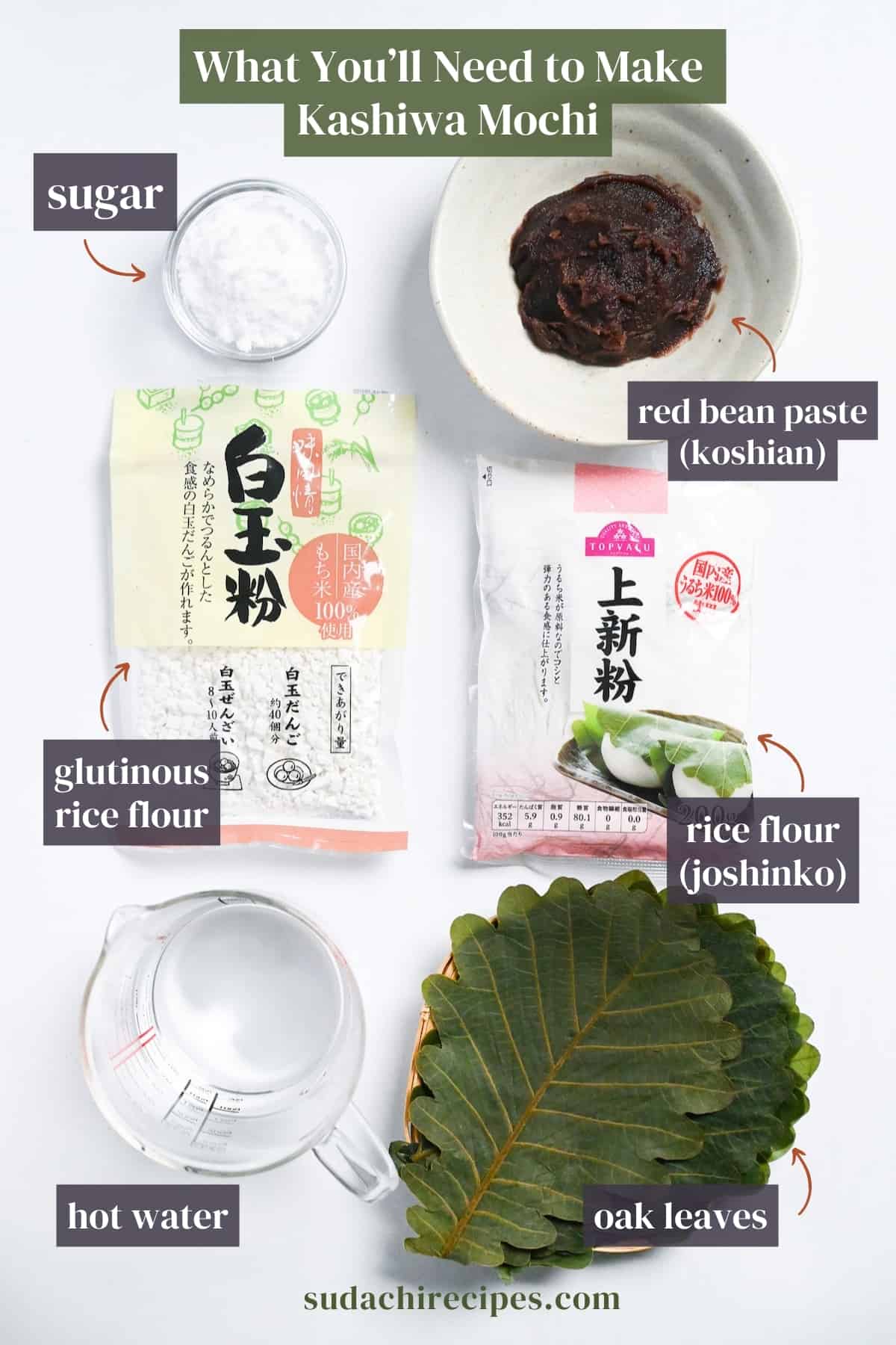ingredients needed to make kashiwa mochi on a white background with labels