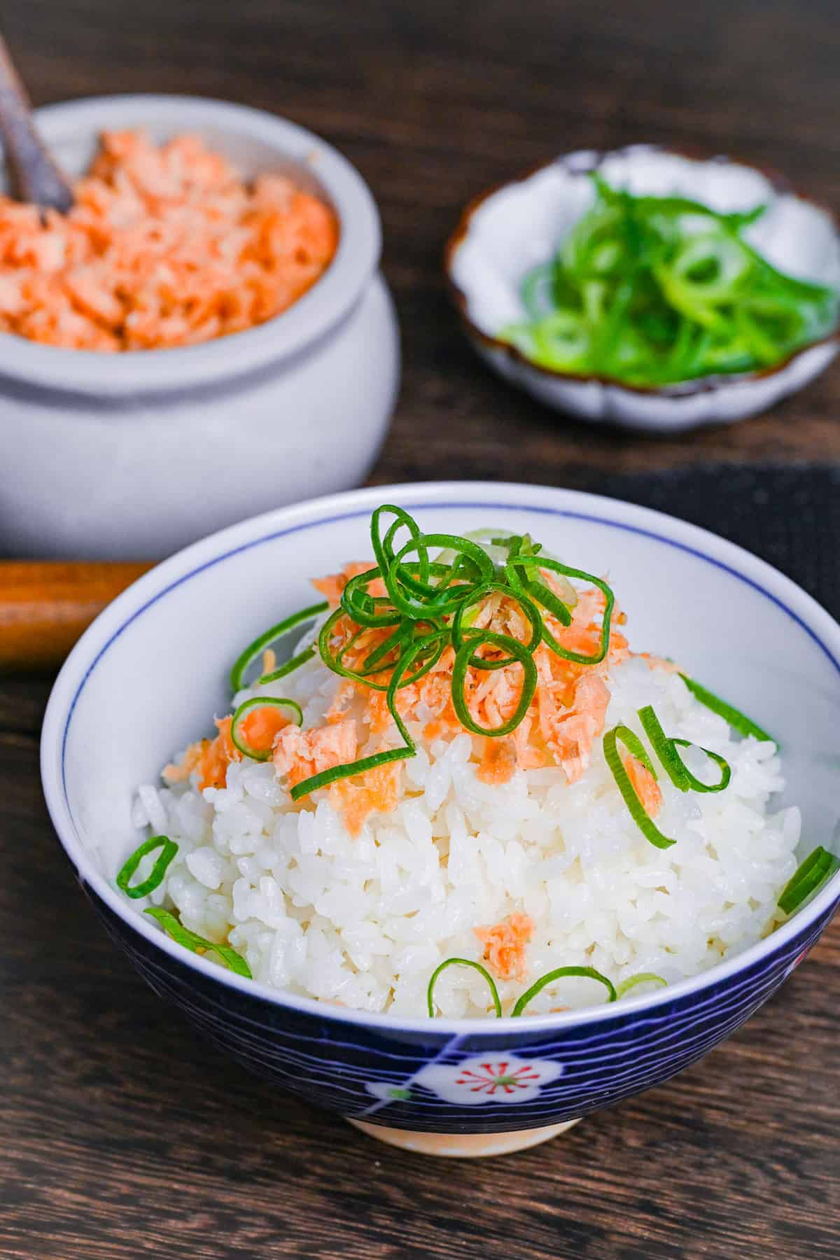 Homemade Japanese-style salmon flakes on rice topped with chopped green onion