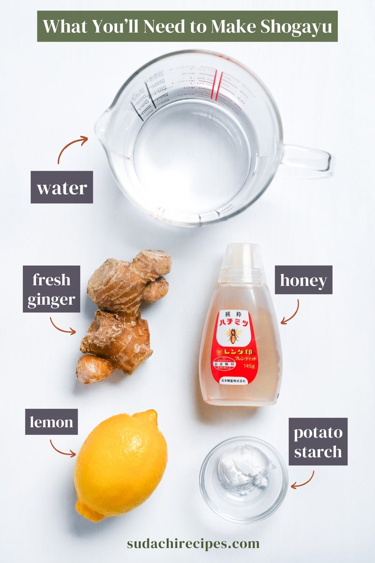 Ingredients used to make shogayu on a white background with labels