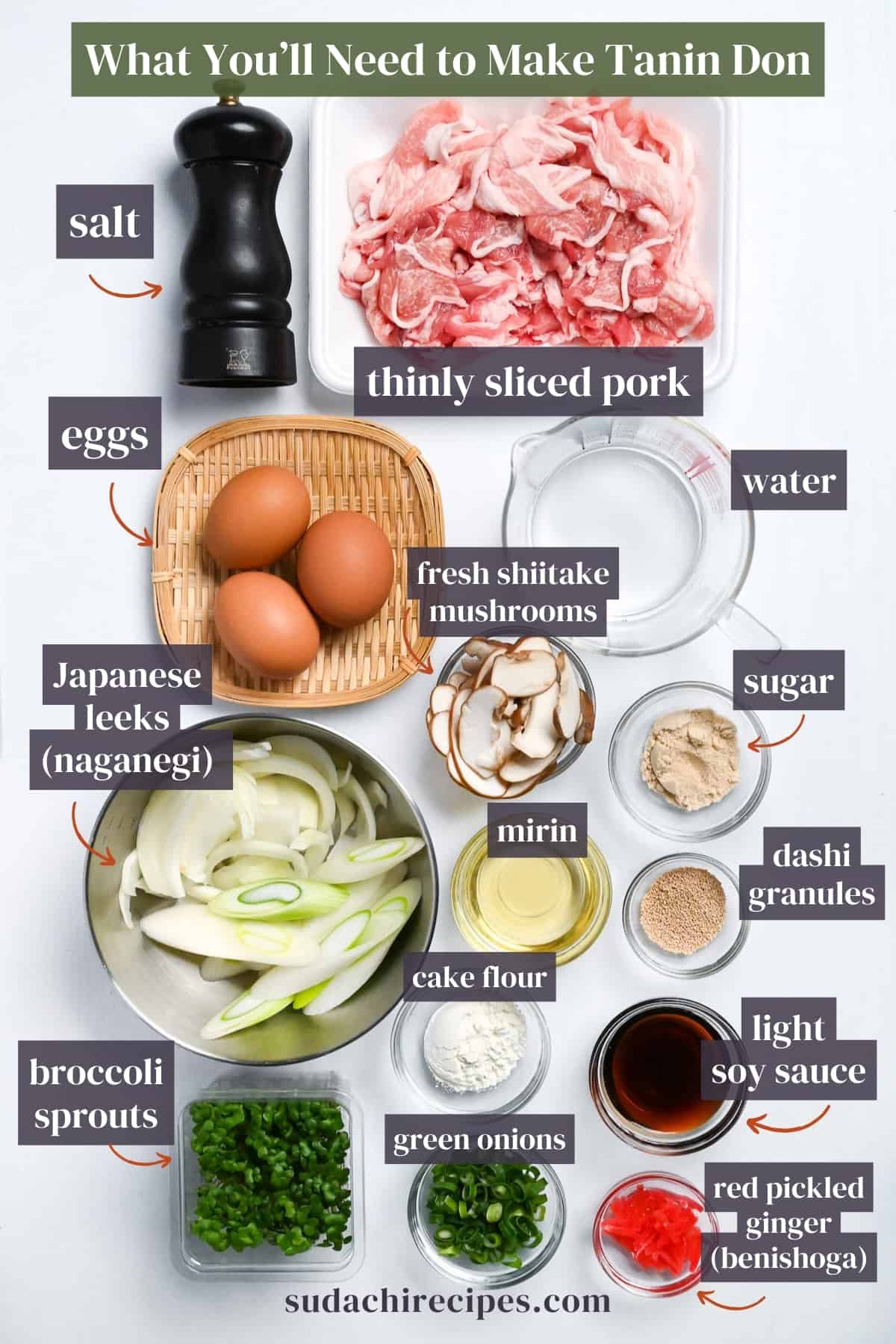 Tanin Don (Japanese Pork and Egg Rice Bowl) Ingredients on a white background with labels