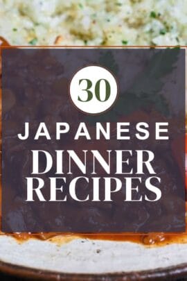 japanese dinner recipes 30