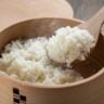 Ingredient cooked japanese rice