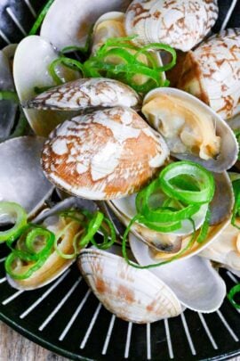 Japanese Sake Steamed Clams (Asari no Sakamushi) sprinkled with chopped green onion on a black plate with white stripes