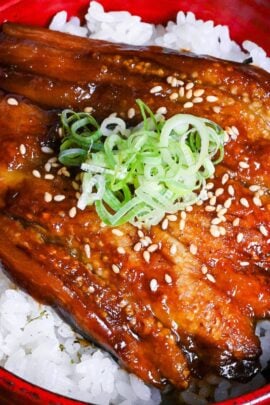 eggplant kabayaki over rice in a red bowl