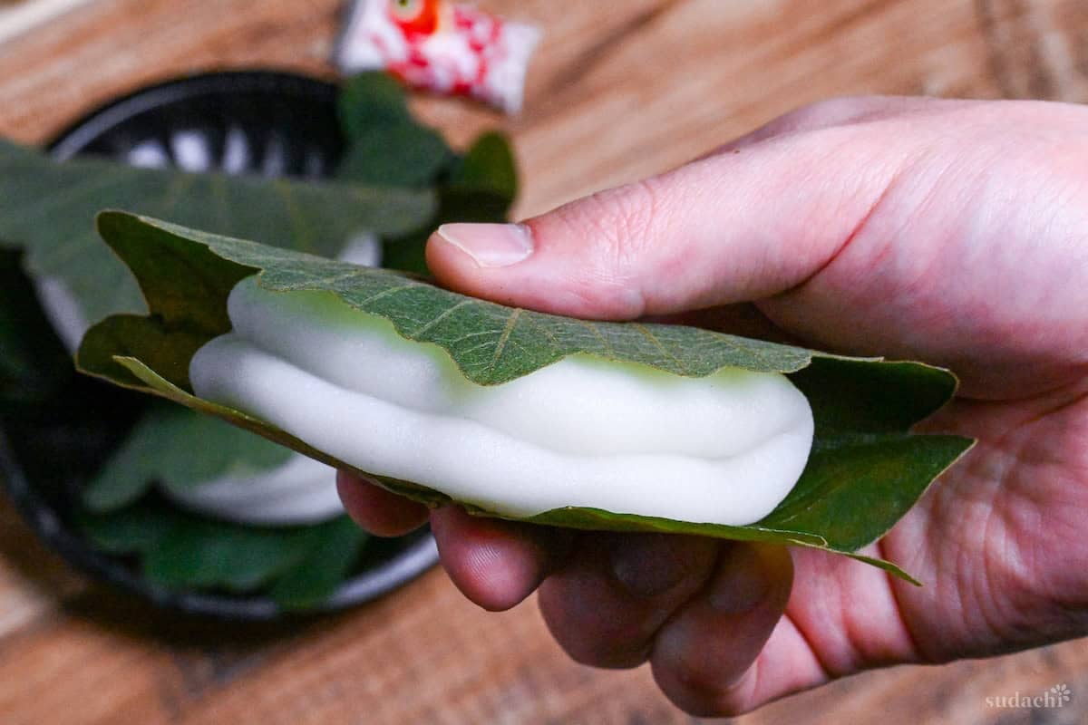 One kashiwa mochi wrapped in an oak leaf held up with a hand