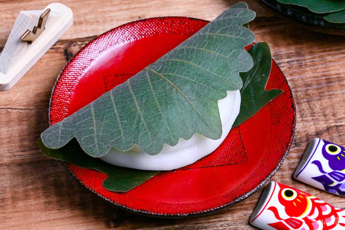 one kashiwa mochi wrapped with an oak leaf on a red plate on a wooden background