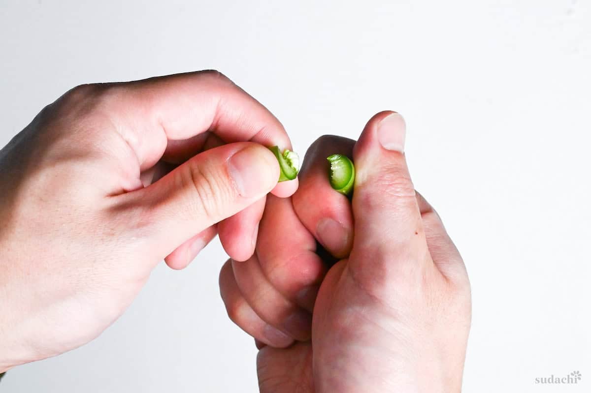 breaking the end of asparagus