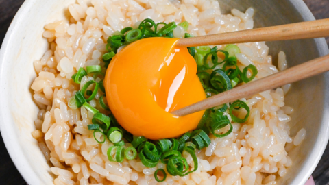 The Ultimate Guide to Tamago Kake Gohan (TKG): Including 15