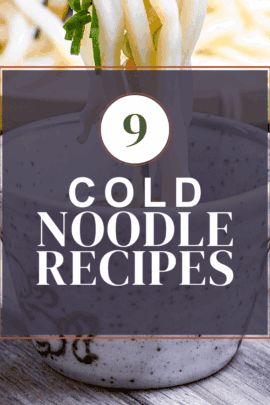 cold noodle recipe roundup with zaru udon in the background