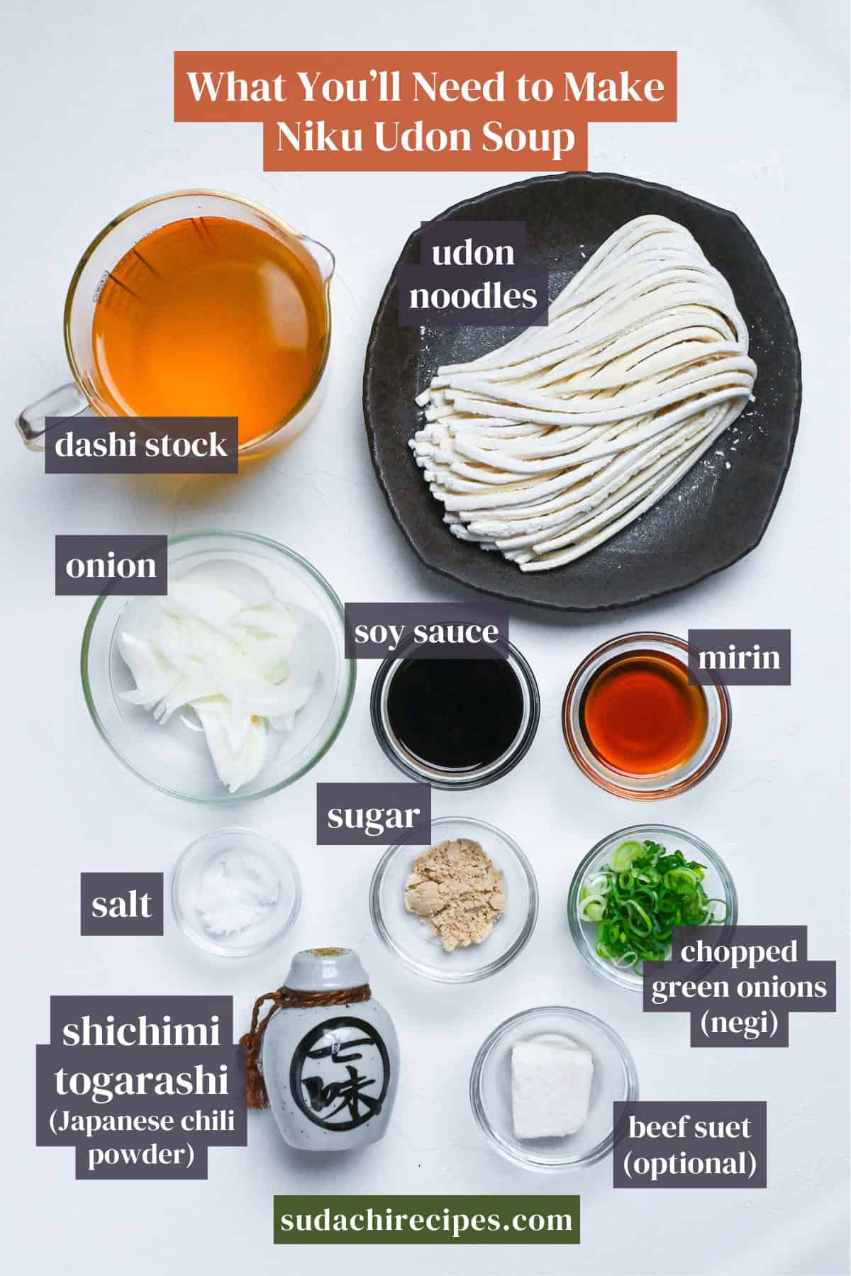 Ingredients needed to make niku udon soup on a white background with labels. From top to bottom, left to right: dashi, udon noodles, onion, soy sauce, mirin, salt, sugar, chopped green onions, shichimi togarashi, beef suet