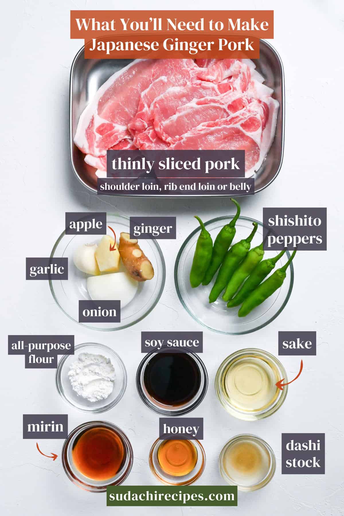 Ingredients needed to make authentic Japanese ginger pork. From top to bottom, left to right: thinly sliced pork, apple, ginger, shishito peppers, garlic, onion, all purpose flour, soy sauce, sake, mirin, honey, dashi stock