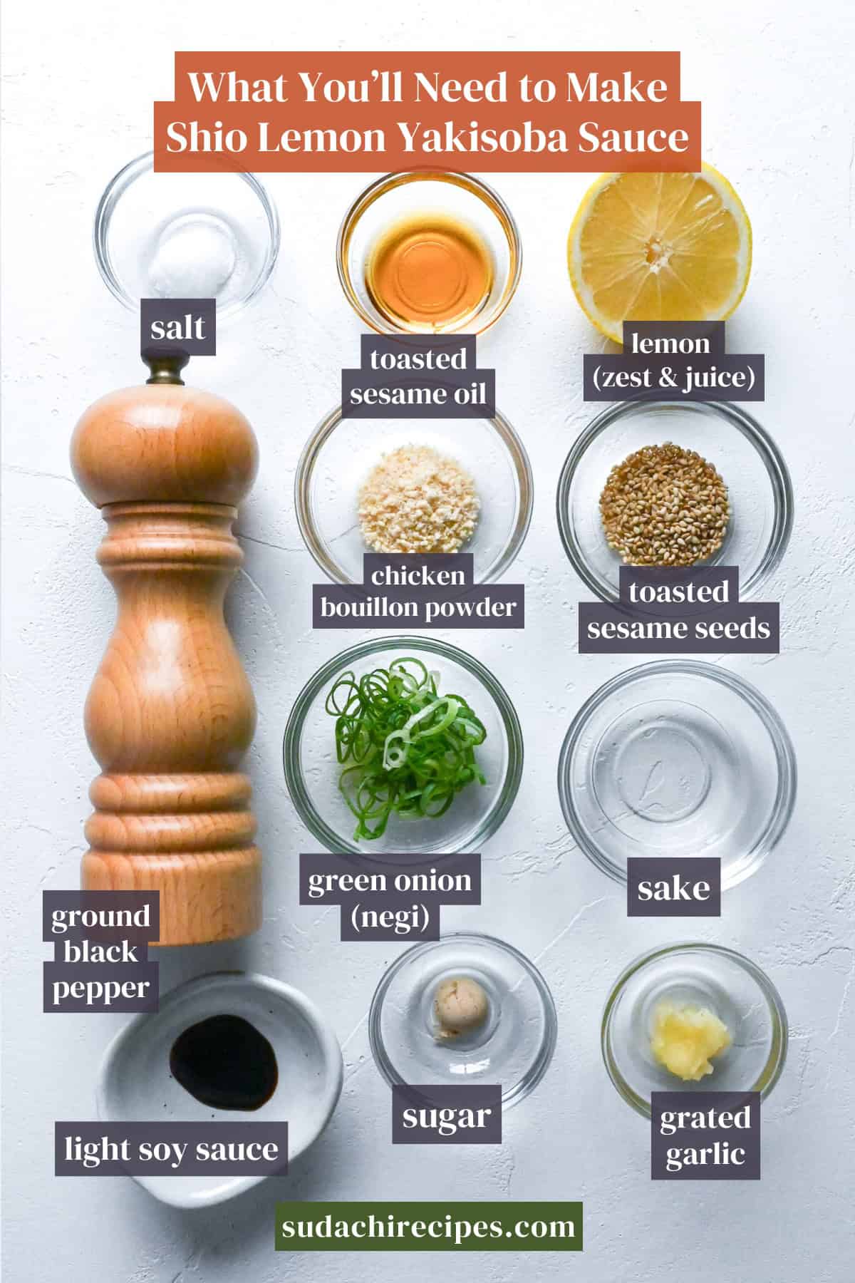 Ingredients used to make shio lemon yakisoba sauce on a white background with labels. From top to bottom, left to right: salt, toasted sesame oil, lemon, chicken bouillon powder, toasted sesame seeds, green onion, sake, ground black pepper, light soy sauce, sugar, grated garlic