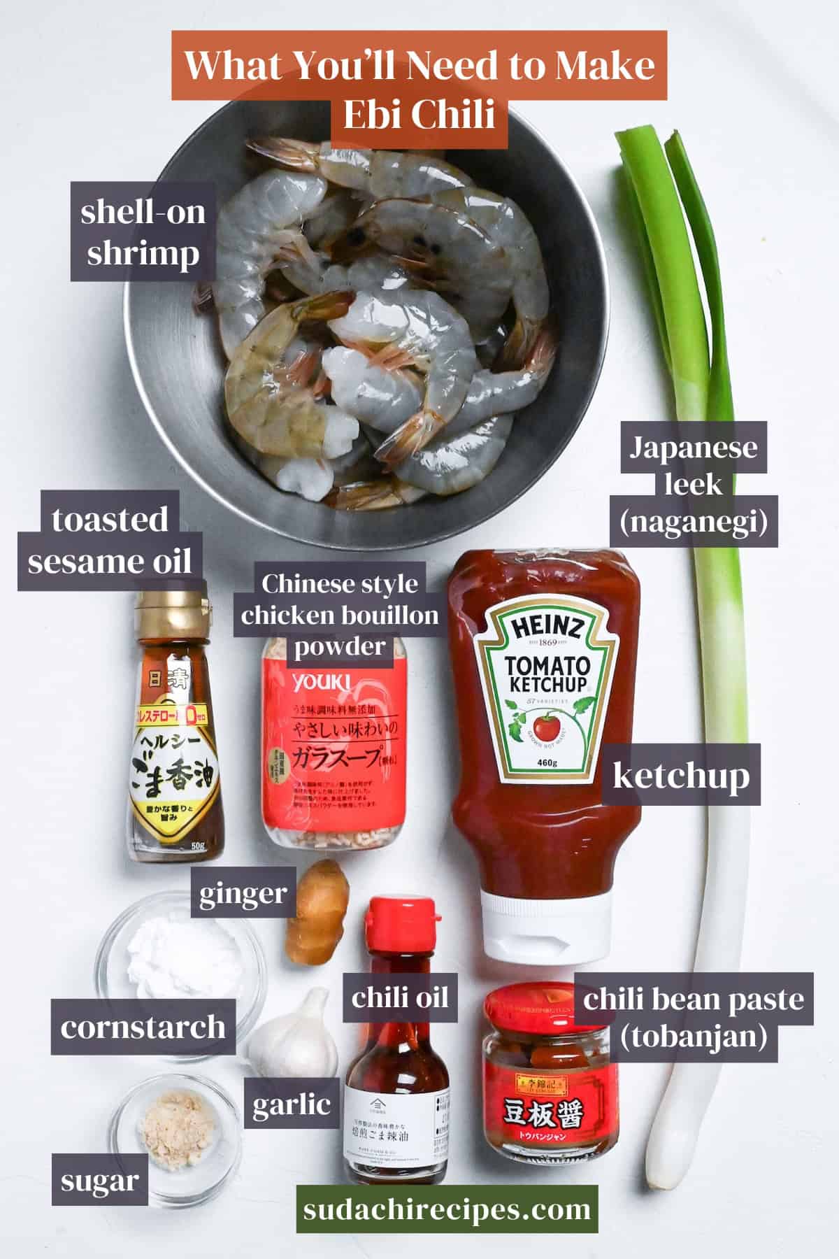 ingredients needed to make ebi chili on a white background with labels. From top to bottom, left to right: shell-on shrimp, toasted sesame oil, Chinese style chicken bouillon powder, Japanese leek, ketchup, ginger, cornstarch, chili oil, chili bean paste, garlic, sugar