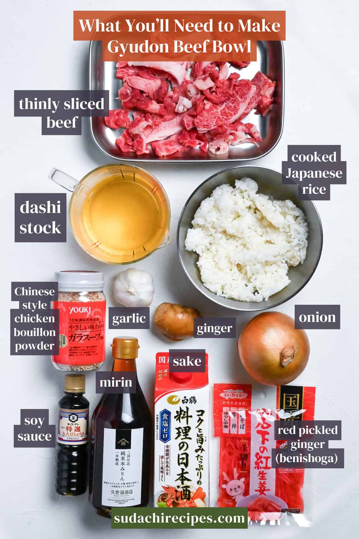 Ingredients for gyudon (Japanese beef bowl) on a white background with labels