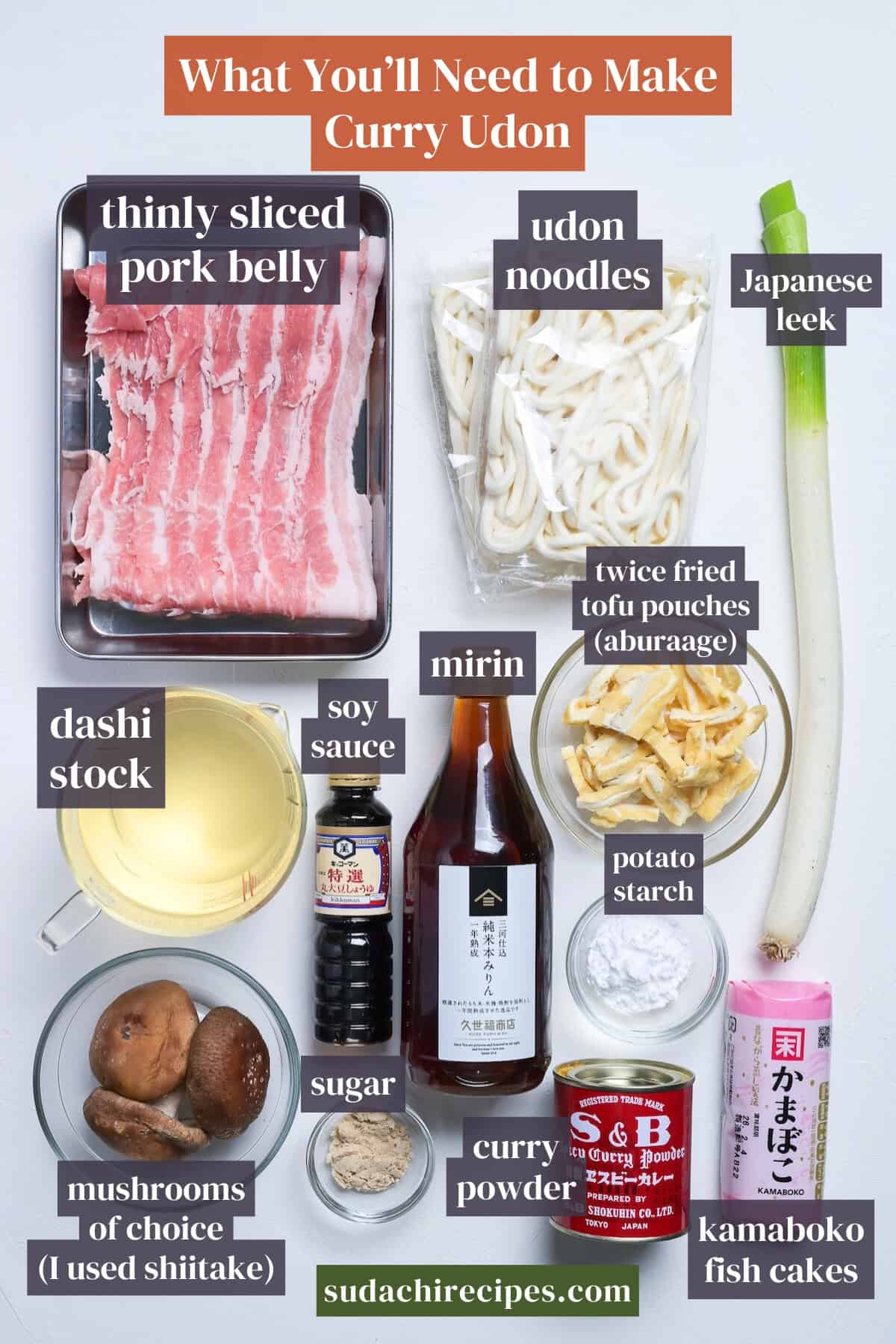 Ingredients needed to make curry udon on a white background with labels. From top to bottom, left to right: thinly sliced pork belly, udon noodles, Japanese leek, dashi stock, soy sauce, mirin, aburaage, potato starch, mushrooms, sugar, curry powder and kamaboko fishcakes.