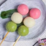 Two homemade tofu hanami dango on a gray plate with green brush design