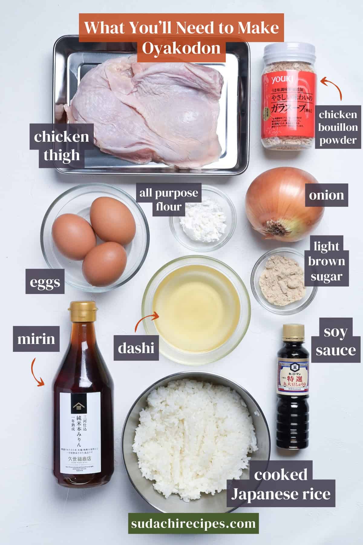 Ingredients needed to make oyakodon on a white background with labels. From top to bottom, left to right: chicken thigh, chicken bouillon powder, all purpose flour, onion, eggs, light brown sugar, dashi, mirin, soy sauce and cooked Japanese rice