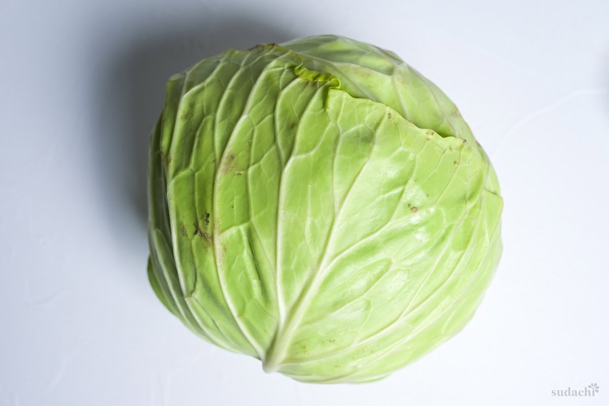 A single green cabbage on a white background