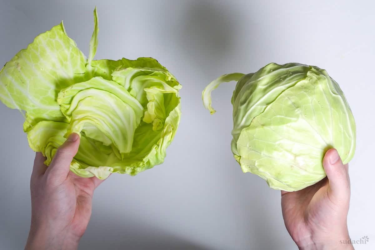Green cabbage with the outer leaves peeled off