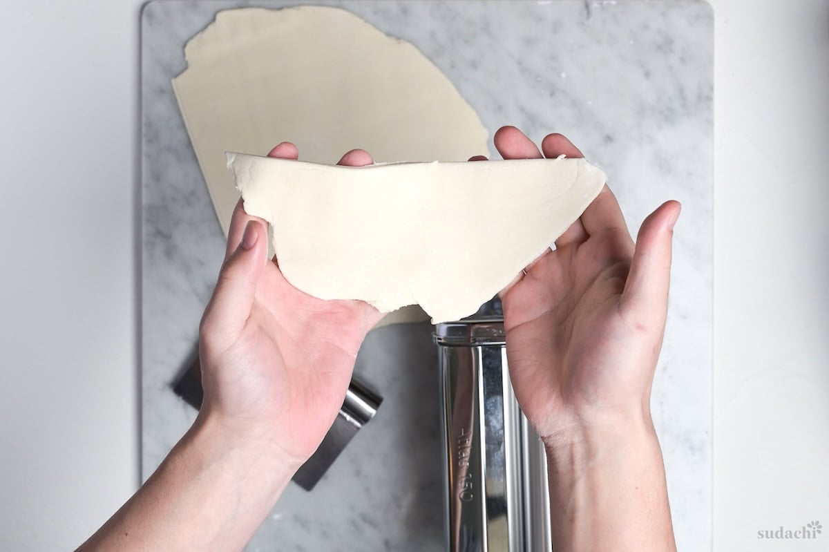 gyoza dough rolled thin and cut into smaller pieces