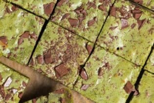 Matcha blondies topped with chunks of roughly chopped chocolate on a piece of brown parchment paper on a wooden cutting board