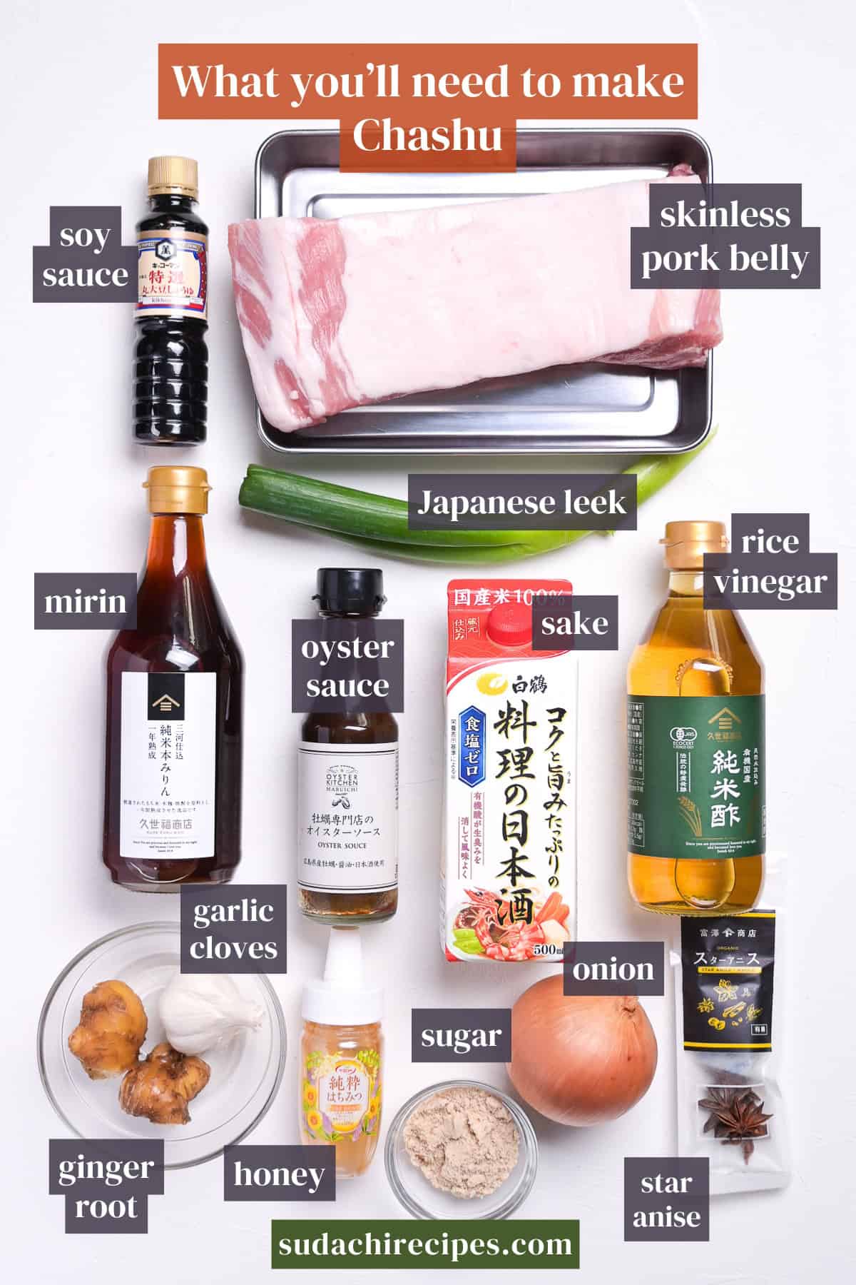Ingredients needed to make pork chashu on a white background with labels. From top to bottom, left to right: soy sauce, skinless pork belly, Japanese leek, mirin, oyster sauce, sake, rice vinegar, garlic cloves, onion, sugar, ginger root, honey, star anise.