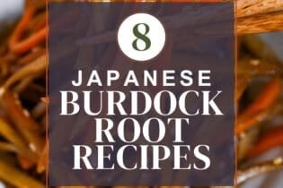 Japanese burdock root (gobo) recipes