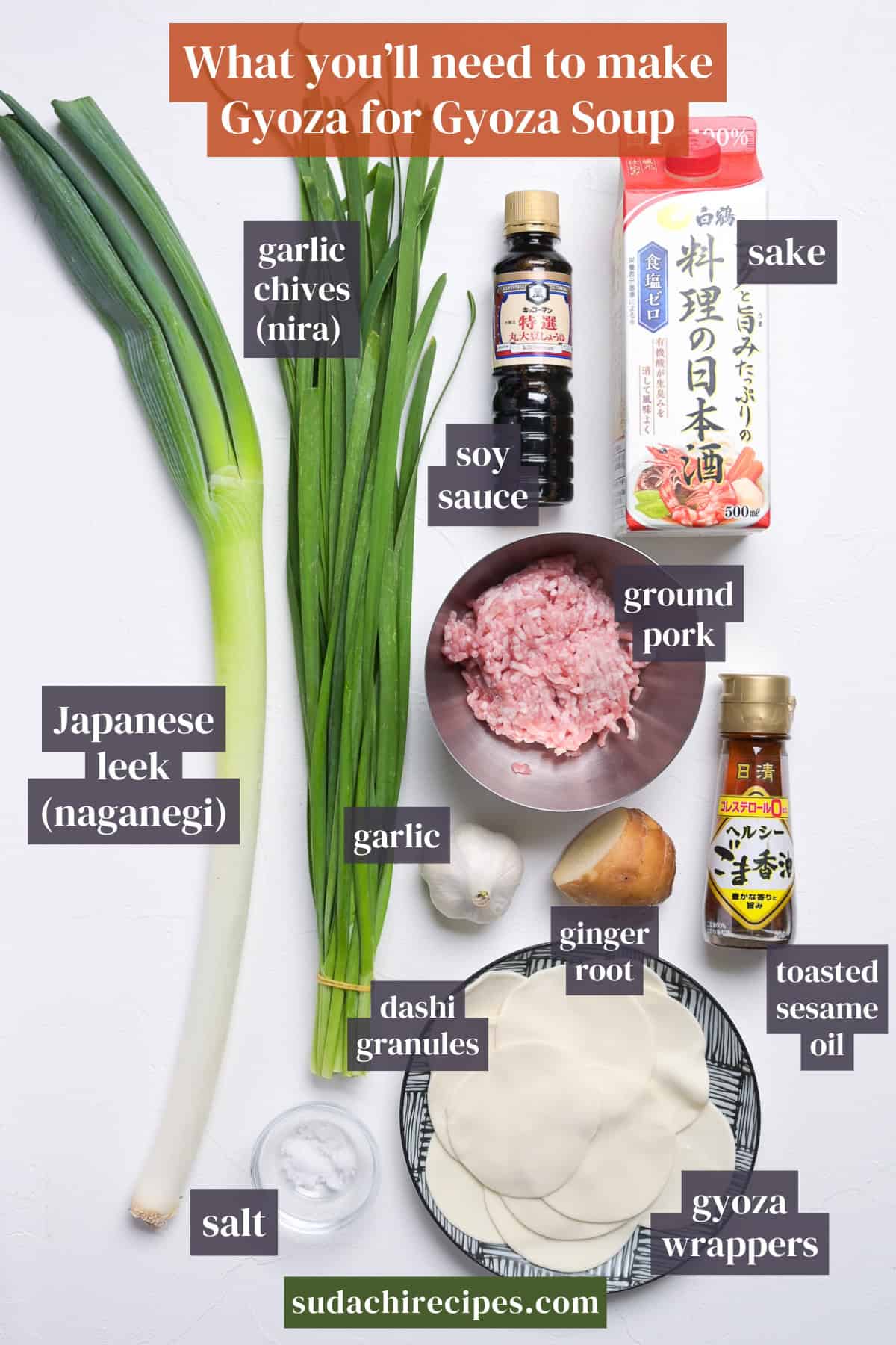 Ingredients needed to make the gyoza for gyoza soup on a white background with labels. From top to bottom, left to right: garlic chives (nari), soy sauce, sake, ground pork, Japanese leek, garlic, ginger root, toasted sesame oil, dashi granules, salt, gyoza wrappers.