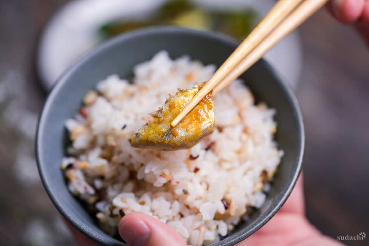 A piece of miso simmered mackerel (saba no misoni) held up with light wooden chopsticks above a bowl of mixed grain rice.