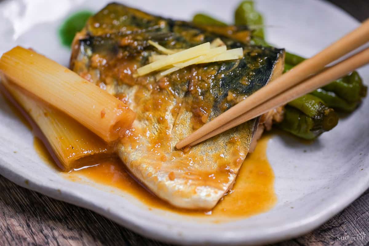 Miso simmered mackerel (Saba no Miso-ni) on an off-white plate served with Japanese leek and shishito peppers, topped with julienned ginger root.