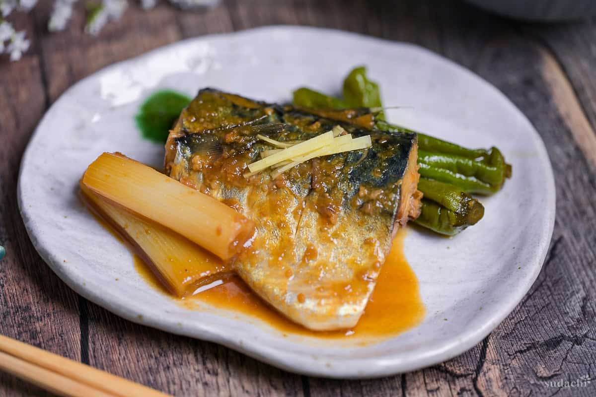 Miso simmered mackerel (Saba no Miso-ni) on an off-white plate served with Japanese leek and shishito peppers, topped with julienned ginger root. Side view.