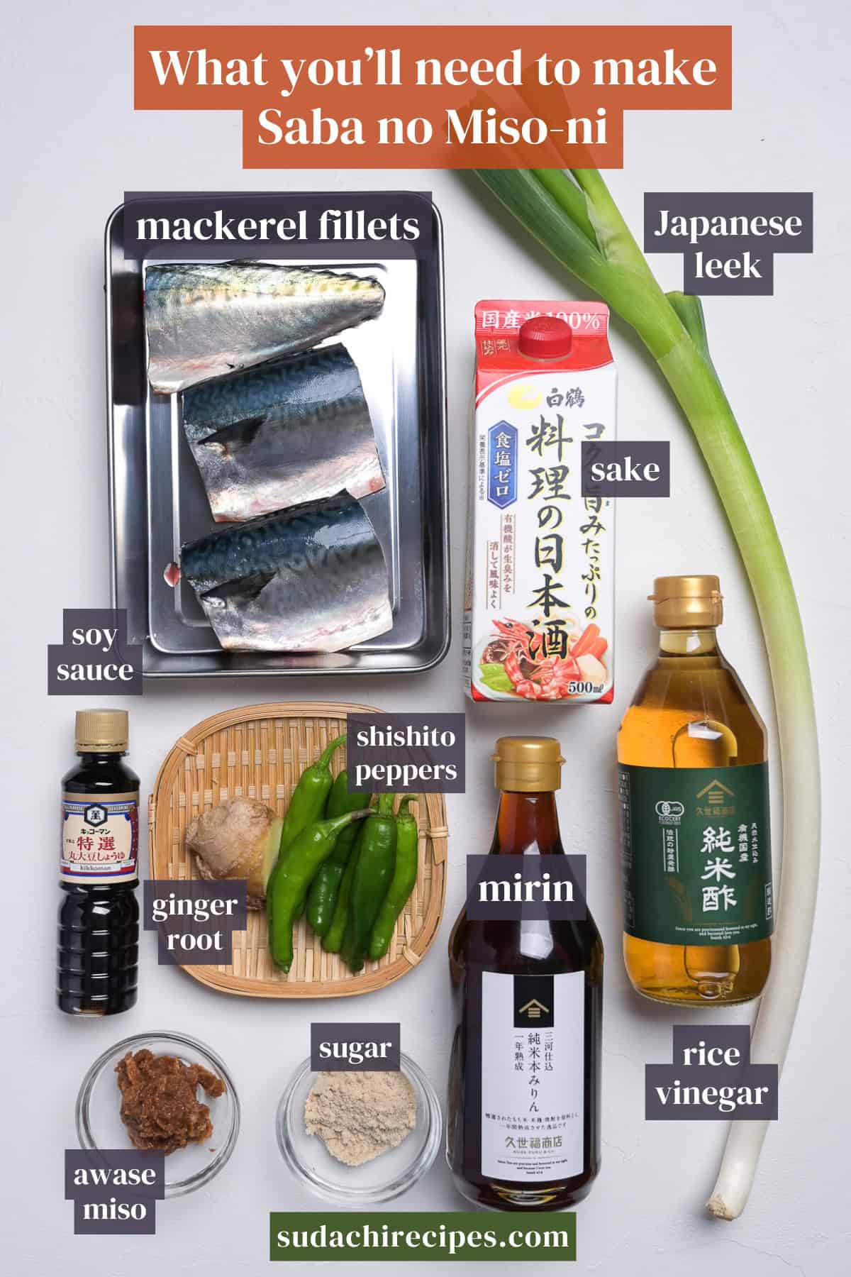 Ingredients needed to make miso simmered mackerel on a white background with labels. From top to bottom, left to right: mackerel fillets, Japanese leek, sake, soy sauce, shishito peppers, mirin, awase miso, sugar, rice vinegar.