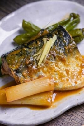 Miso simmered mackerel (Saba no Miso-ni) on an off-white plate served with Japanese leek and shishito peppers, topped with julienned ginger root.