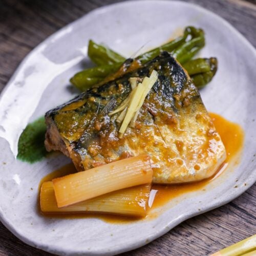 Miso simmered mackerel (Saba no Miso-ni) on an off-white plate served with Japanese leek and shishito peppers, topped with julienned ginger root.