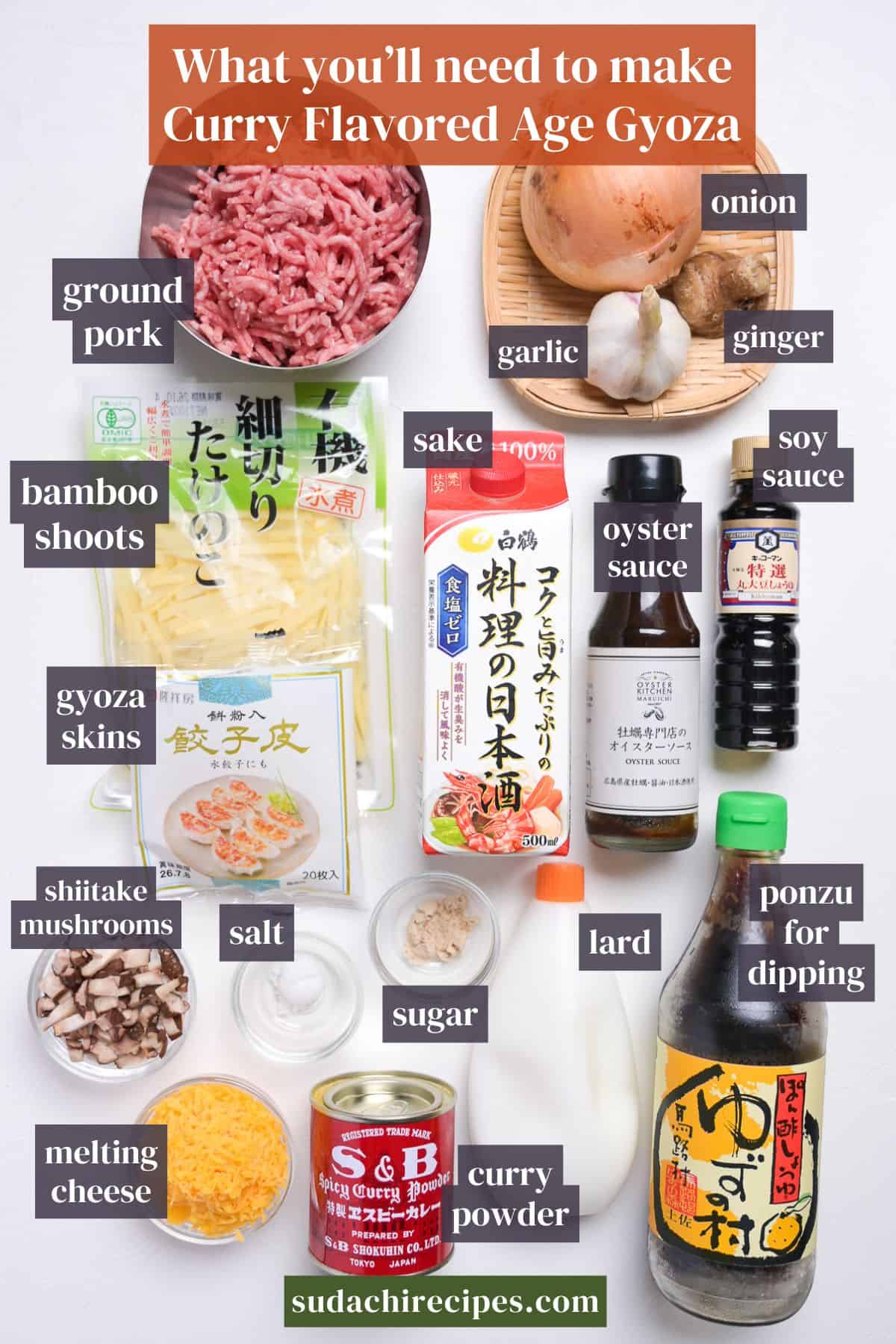 Curry Age Gyoza ingredients on a white background with labels. From top to bottom, left to right: ground pork, onion, garlic, ginger, bamboo shoots, sake, oyster sauce, soy sauce, gyoza skin, shiitake mushrooms, salt, sugar, lard, ponzu for dipping, melting cheese, curry powder.
