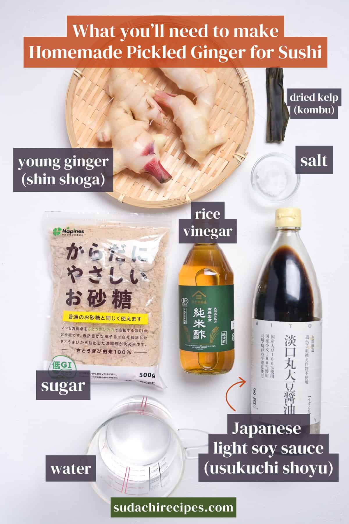 Ingredients needed to make gari (sushi ginger) on a white background with labels. From top to bottom, left to right: young ginger (shin shoga), dried kelp (kombu), salt, rice vinegar, sugar, Japanese light soy sauce (usukuchi shoyu) and water.