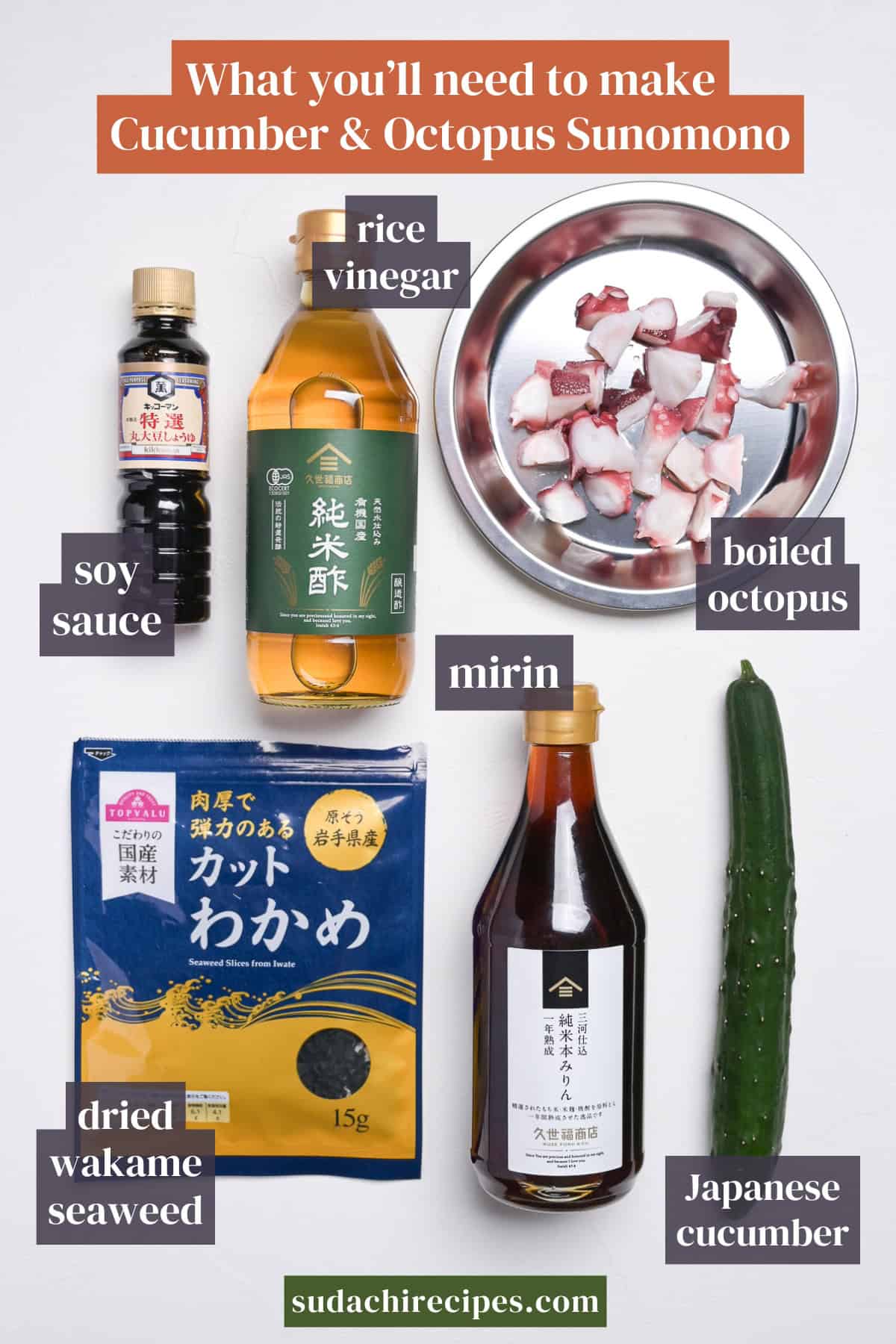 Ingredients you will need to make cucumber and octopus sunomono on a white background with labels. From top to bottom, left to right: rice vinegar, soy sauce, boiled octopus, mirin, dried wakame seaweed, and Japanese cucumber.