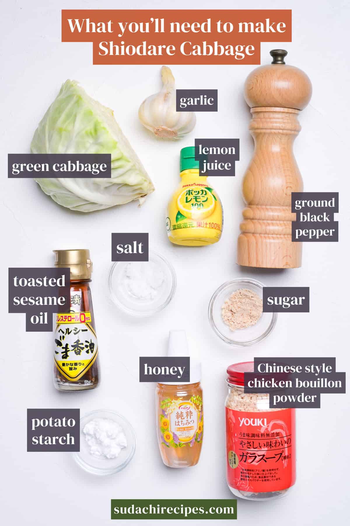 Ingredients needed to make shiodare cabbage on a white background with labels. From top to bottom, left to right: green cabbage, garlic, lemon juice, ground black pepper, salt, toasted sesame oil, sugar, potato starch, honey, Chinese style chicken bouillon powder.