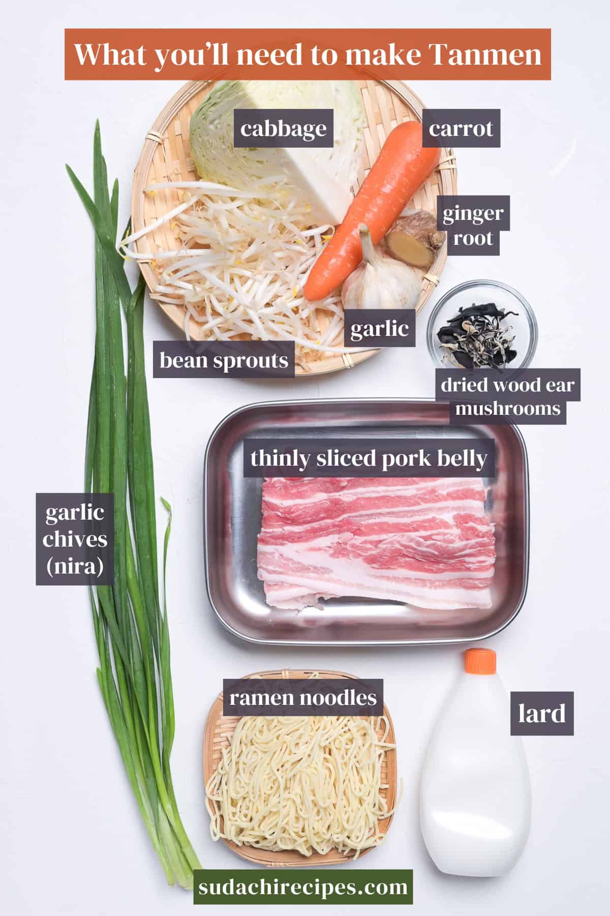 Ingredients for tanmen on a white background with labels. From top to bottom, left to right: cabbage, carrot, giger root, bean sprouts, garlic, dried wood ear mushrooms, thinly sliced pork belly, garlic chives, ramen noodles, lard.
