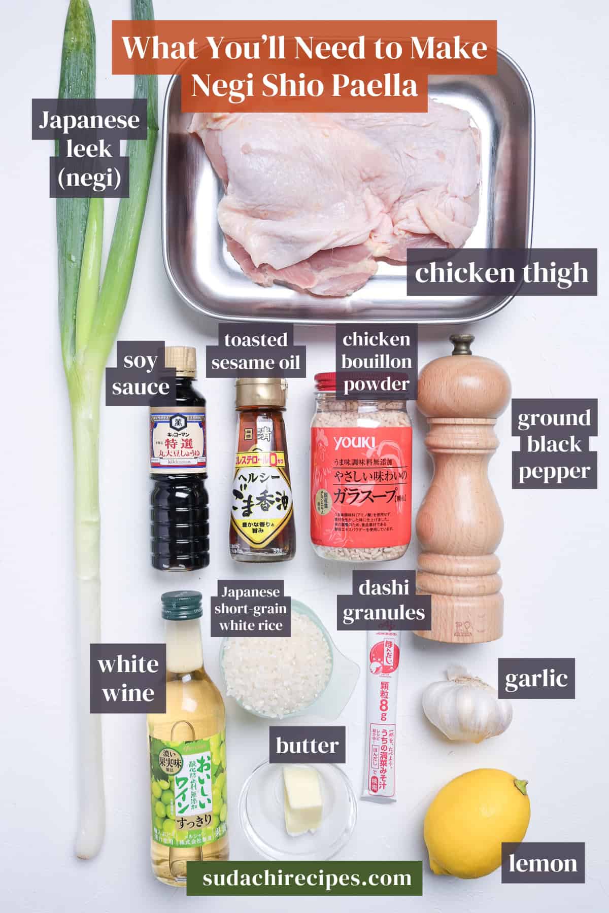 Ingredients needed to make negi shio paella on a white background with labels. From top to bottom, left to right: Japanese leek, chicken thigh, soy sauce, toasted sesame oil, chicken bouillon powder, ground black pepper, white wine, Japanese short grain white rice, dashi granules, gwhite win, garlic, butter and lemon.