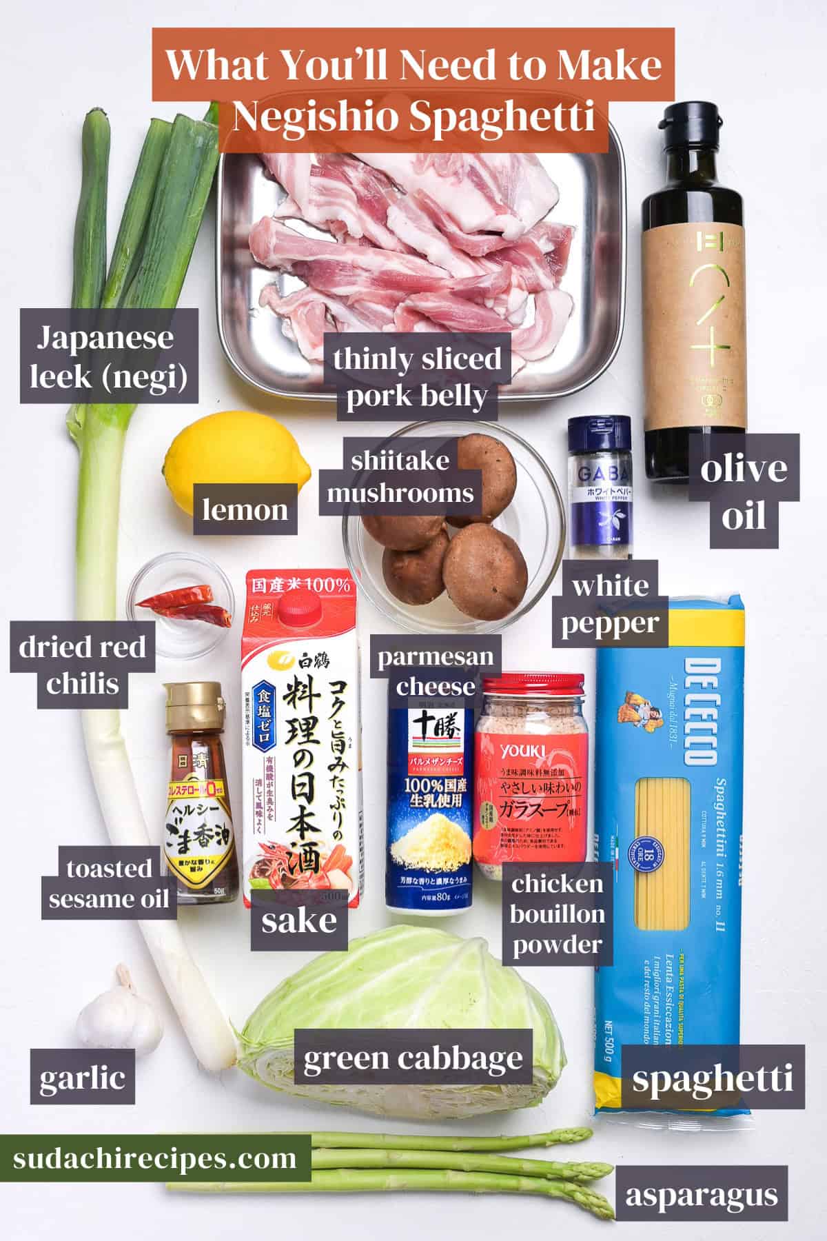 Ingredients needed to make negishio spaghetti on a white background with labels. From top to bottom, left to right: Japanese leek, thinly sliced pork belly, olive oil, lemon, shiitake mushrooms, white pepper, olive oil, dreid red chills, sake, Parmesan cheese, chicken bouillon powder, garlic, green cabbage, spaghetti, asparagus.