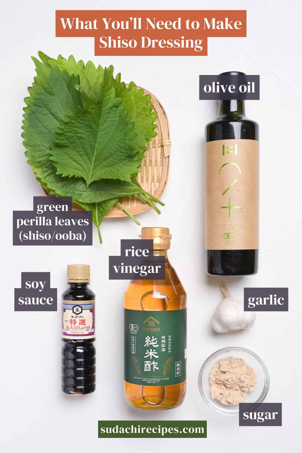 Ingredients to make homemade shiso dressing on a white background with labels. From top to bottom, left to right: olive oil, green perilla leaves (shiso/ooba), soy sauce, rice vinegar, garlic, sugar.