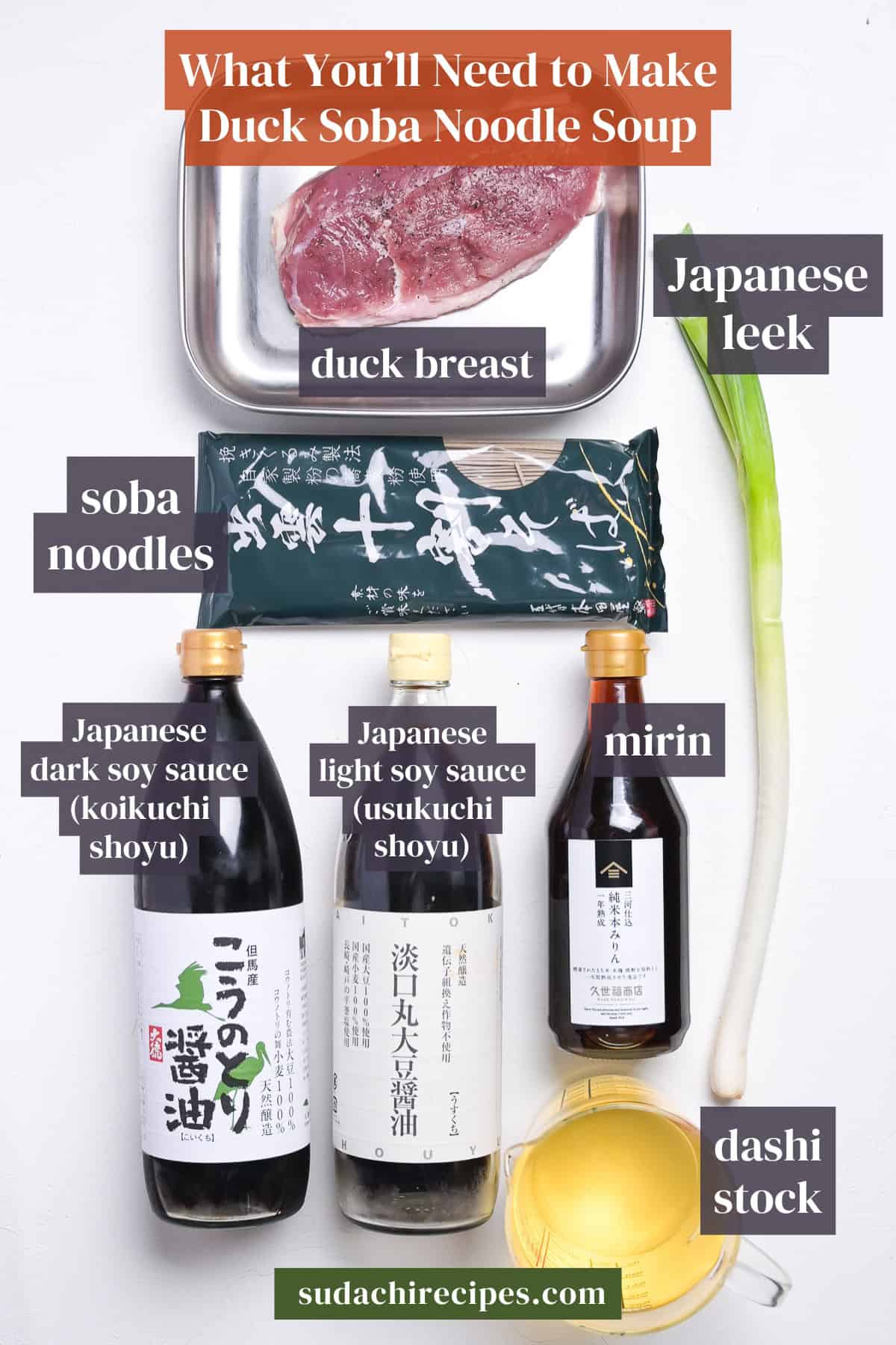 Ingredients needed to make kamo nanban soba on a white background with labels. From top to bottom, left to right: duck breast, Japanese leek, soba noodles, Japanese dark soy sauce, Japanese light soy sauce, mirin, and dashi stock.