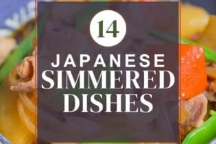 simmered roundup thumbnail with nikujaga in the background