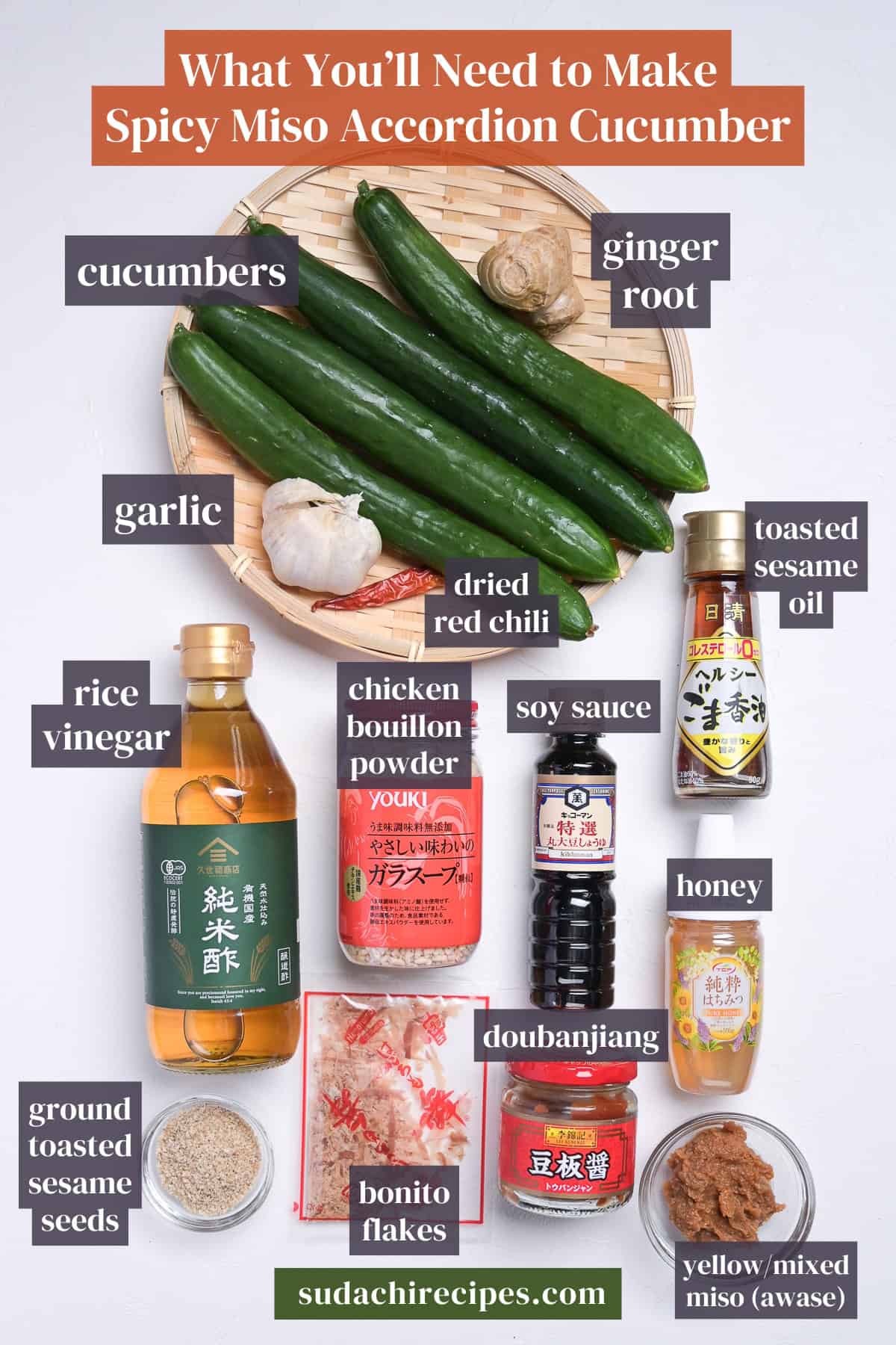 Ingredients needed to make spicy miso accordion cucumber on a white background with labels. From top to bottom, left to right: cucumbers, ginger root, farlic, dired red chili, toasted sesame oil, rice vinegar, chicken bouillon powder, soy sauce, honey, ground toasted sesame seeds, bonito flakes, doubanjiang, yellow/mixed awase miso.
