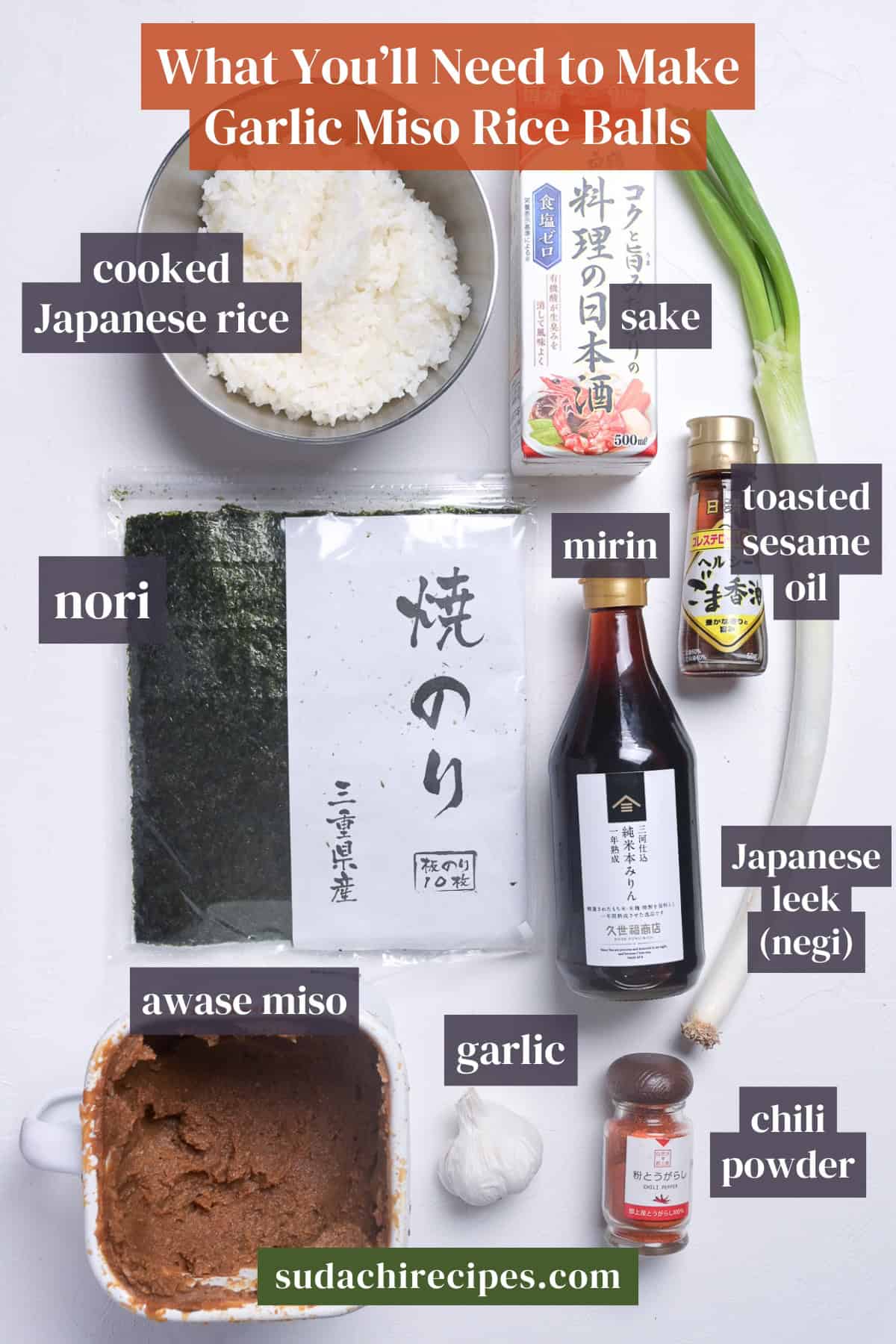 Ingredients to make garlic miso ongiri on a white background with labels. From top to bottom, left to right: cooked Japanese rice, sake, nori, mirin, toasted sesame oil, Japanese leek (negi), awase miso, garlic, chili powder.