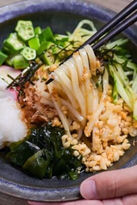 Hiyashi tanuki udon topped with wakame, grated daikon radish, kamaboko slices, okra, cucumber and tempura bits in a dark blue-gray dish